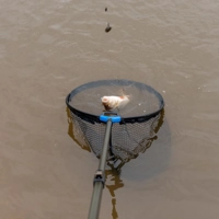 Zebco Tele-Metal Net Pole